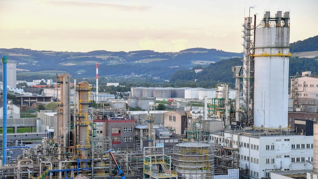 There will be a protest in front of the Linz Chemical Park tomorrow. The police expect traffic obstructions. (Bild: Dostal Harald/© Harald Dostal / 2022)