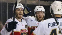 Erfolgreicher Auftakt für die Florida Panthers (Bild: APA Pool/APA/Getty Images via AFP/GETTY IMAGES/BRUCE BENNETT)