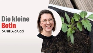 (Bild: Krone kreativ/Daniela Gaigg/canva)
