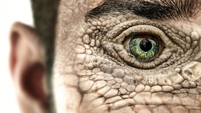 Pure fiction: the myth of reptiloids or lizard people is a recurring theme on the internet.