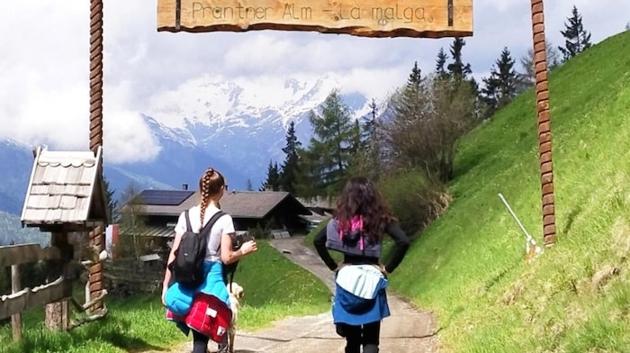 Nur noch wenige Meter und die Alm ist erreicht.
