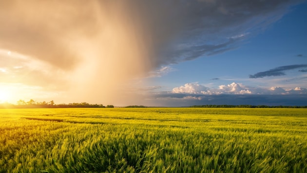 Sunshine and downpours (Bild: stock.adobe.com/Leonid Tit)