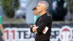 Krems-Coach Thomas Flögel blickt in ungewisse Zukunft. (Bild: GEPA pictures)