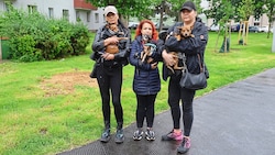 v.li.: Cornelia P., Vanessa K. und Silke J. wollen andere Hundehalter warnen. (Bild: Zwefo)