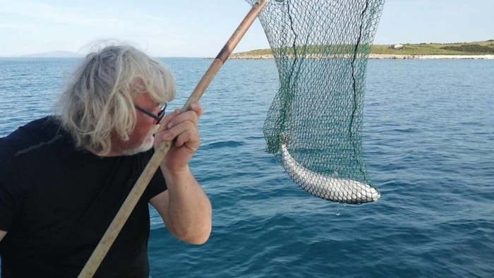Der Hasenkopf-Kugelfisch zerstört mit seiner Überpräsenz das Ökosystem im Meer und richtet zudem großen Schaden für die Fischer an.