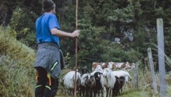 Salzburger Bauern werden gemaßregelt, ärgert sich mancher Schrannen-Standler. (Bild: EXPA/ JFK)