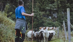 Salzburger Bauern werden gemaßregelt, ärgert sich mancher Schrannen-Standler. (Bild: EXPA/ JFK)