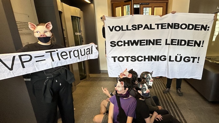 Die Aktivistinnen und Aktivisten trugen Schweinemasken.