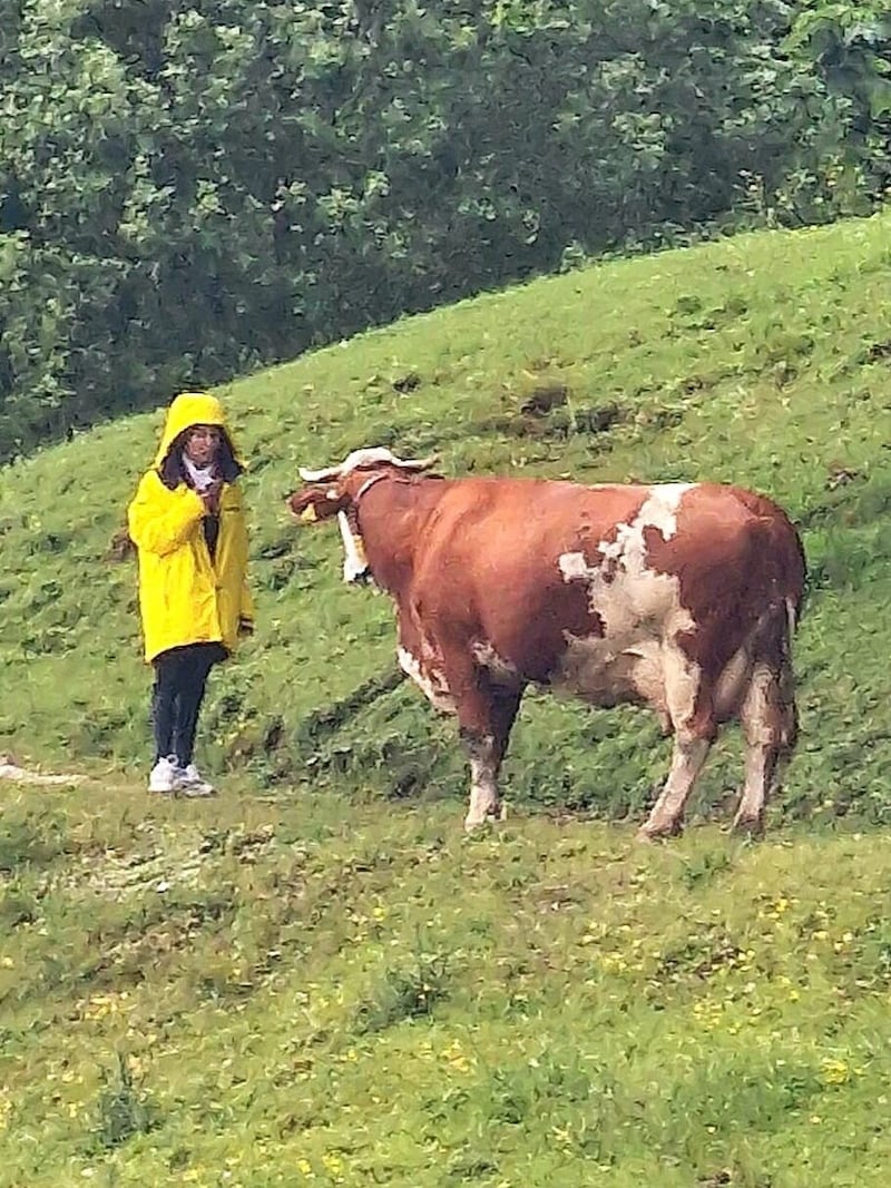 Tierische Begegnung: „Mausi“ im Diskurs mit einer Kuh hoch oben auf der Alm (Bild: privat)