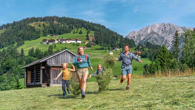 The Lesachtal Valley enchants with its untouched nature, which can be experienced on a total of 300 kilometers of hiking trails. (Bild: www.lesachtal.com/Peter Maier)