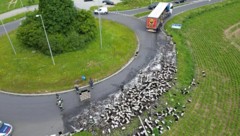 Der Lkw verlor zahlreiche Bierflaschen. (Bild: Werner Kerschbaummayr)