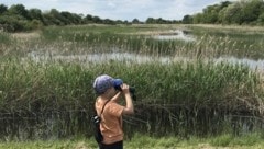 Wo Natur noch in Ordnung ist: Gezielt geplante Renaturierungen wirken der Klimaveränderung entgegen. (Bild: LEADER Region Weinviertel-Manhartsberg)