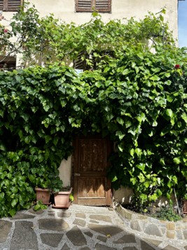 The narrow alleyways and overgrown entrances of Šmartno invite you to take a stroll.