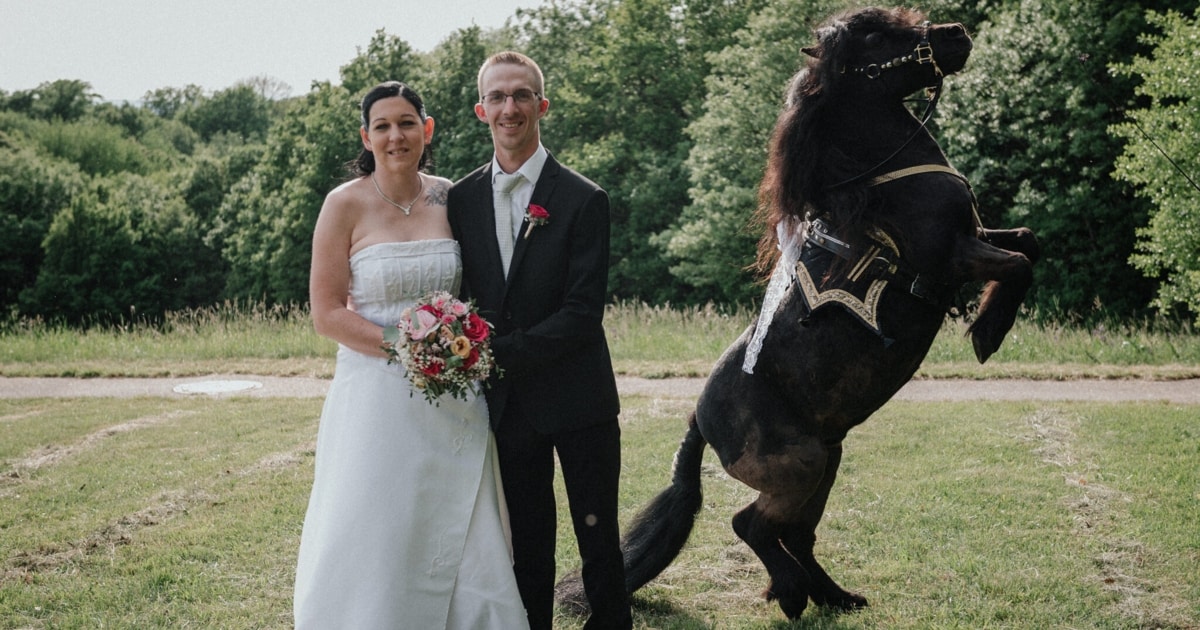 Originelle Hochzeiten Auf Pferd oder im Lkw Diese Bräute trauten