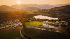 Das Weingut Trippelgut siegte in zwei Kategorien. (Bild: Trippelgut)