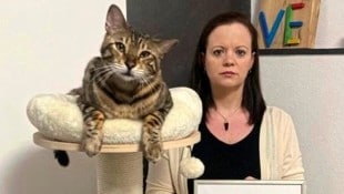 Melanie K.-T. hat den Kater trotz Anzeige noch nicht zurückbekommen. (Bild: zVg)