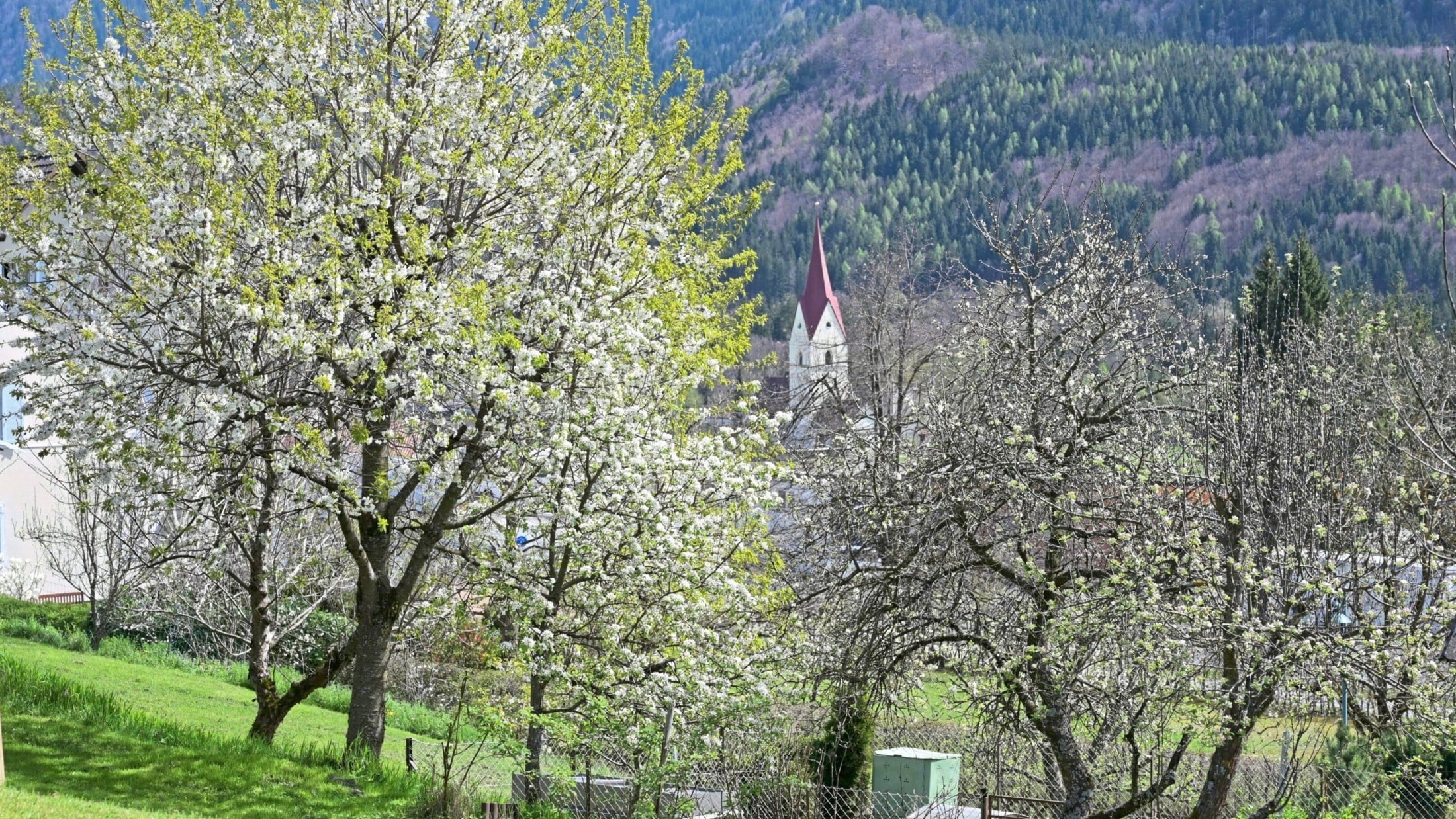 Kulturwanderungen führen durch das kleine Dorf Unterthörl. (Bild: EVELYN HRONEK) Kulturwanderungen führen durch das kleine Dorf Unterthörl. (Bild: EVELYN HRONEK)