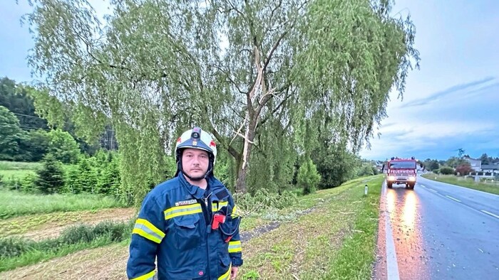 In Kemeten wurde ein Baum an der Bundestraße vom Blitz getroffen
