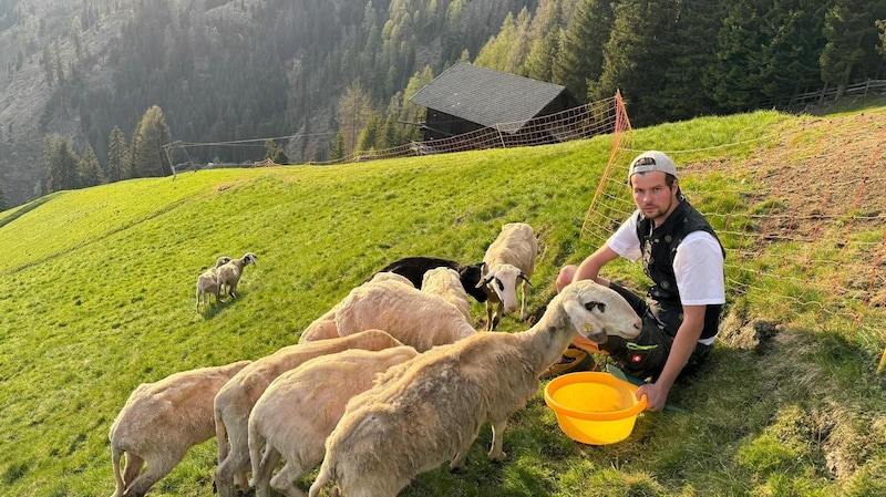 Manuel Fürhapter is an affected farmer from East Tyrol who lost an entire breeding line at the beginning of May because of a wolf. (Bild: Save the Alps)