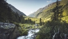 Im Kalser Dorfertal finden auch heuer viele geführte Wanderungen mit Rangern statt. (Bild: NPHT/Leitner)