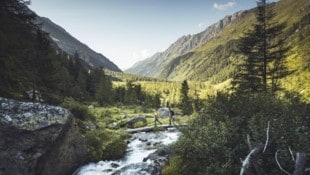 Im Kalser Dorfertal finden auch heuer viele geführte Wanderungen mit Rangern statt. (Bild: NPHT/Leitner)