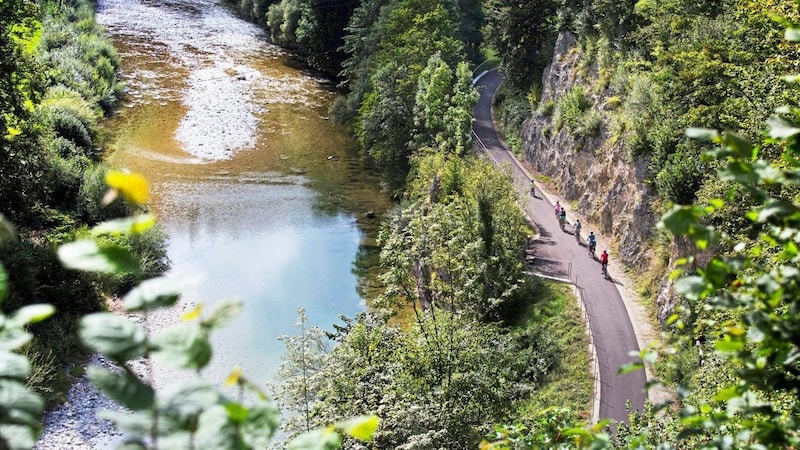 Ybbstal cycle path (Bild: (c) Niederösterreich Werbung/ Schloss Hof/ schwarz-koenig.at)