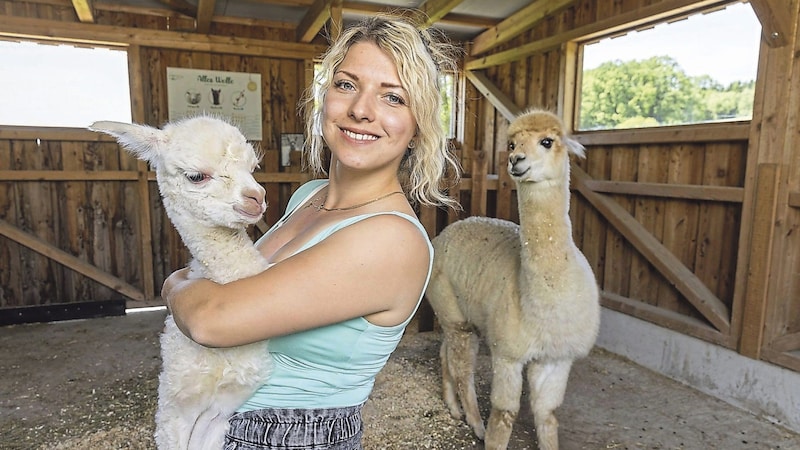 Kathi ist Alpakazüchterin aus dem Bezirk Scheibbs. (Bild: ERNST KAINERSTORFER)