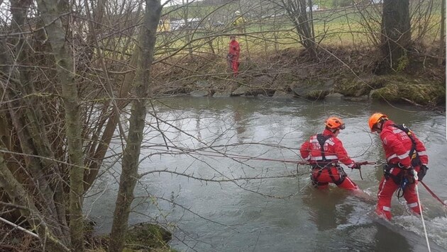 The damage to the three streams was long-term due to the slurry spillage (Bild: FF Ried im Innkreis)