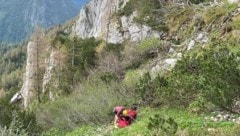 Die Sportlerin war in ein Latschenfeld gestürzt. (Bild: BRD Ebensee)