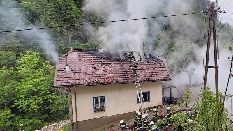 A lángok gyorsan terjedtek. (Bild: Feuerwehr Feistritz/Drau)