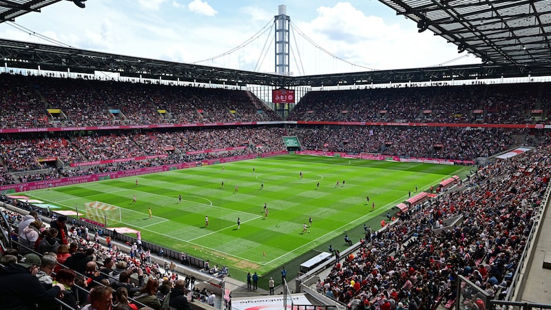 Cologne Stadium (Bild: GEPA/GEPA pictures)