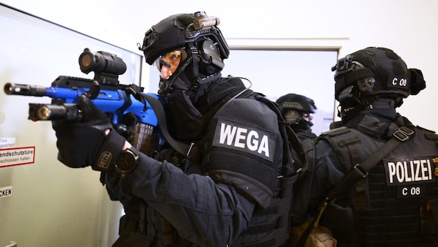 The Wega special unit arrested the two Syrians on Monday night in the Graz-Umgebung district and in Vienna (symbolic image). (Bild: APA/ROBERT JAEGER)