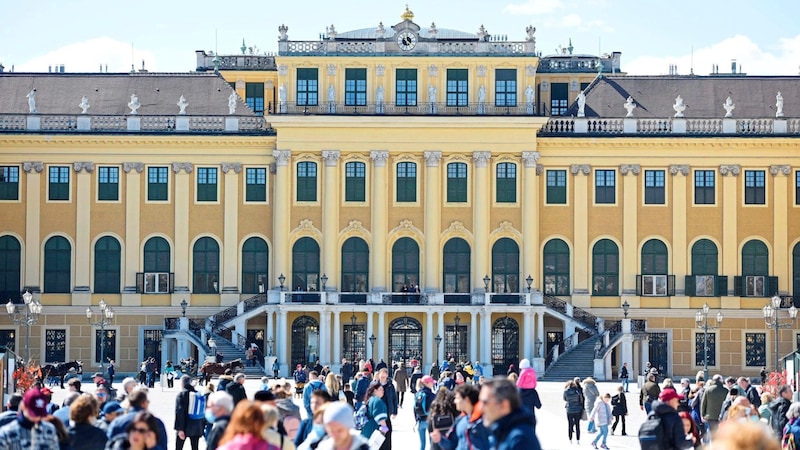 Das Schloss Schönbrunn zählt zu den beliebtesten Sehenswürdigkeiten. (Bild: Spitzbart Wolfgang)