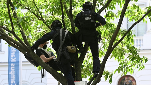 WEGA was deployed and also had to climb a tree. (Bild: APA/HELMUT FOHRINGER)