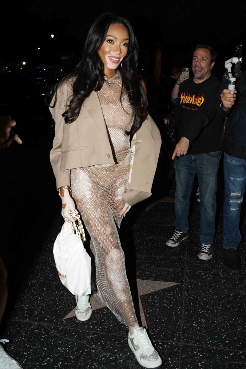 Winnie Harlow funkelte in dem wunderschönen Kleid. (Bild: Photo Press Service/www.PPS.at)