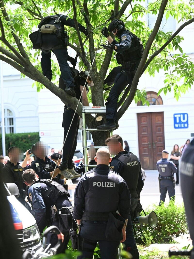 Eine Person wurde von Polizeikräften von einem Baum geholt. (Bild: APA/HELMUT FOHRINGER)