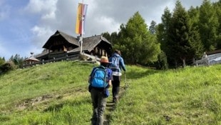 Die Millstätter Alm wird von Urlaubern und Einheimischen regelrecht gestürmt. 