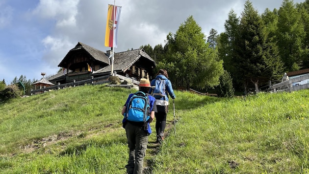 Millstätter Alm kelimenin tam anlamıyla tatilciler ve yerel halk tarafından istila edilmiş durumda. (Bild: Elisa Aschbacher)