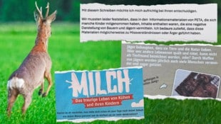 Die Direktorin ließ dieses Material an der Volksschule Ohlsdorf in Oberösterreich verteilen.  (Bild: Krone KREATIV/Daniel Scharinger, zVg)