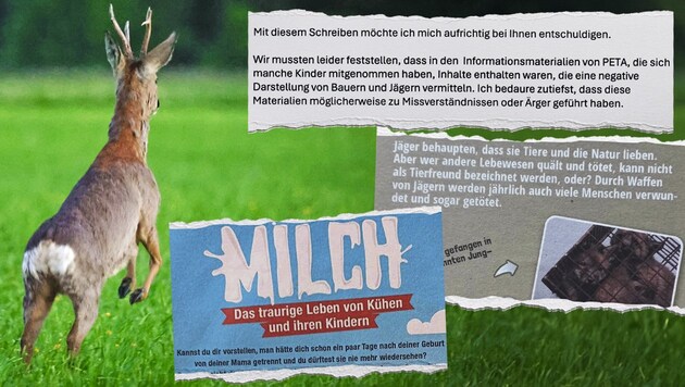 Die Direktorin ließ dieses Material an der Volksschule Ohlsdorf in Oberösterreich verteilen.  (Bild: Krone KREATIV/Daniel Scharinger, zVg)