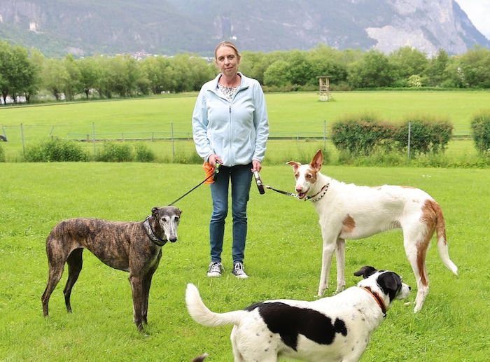 Vereinsobfrau Michaela Reiser auf dem weitläufigen Gelände bei Inzing, auf dem die Windhunde regelmäßig im Sprint an den Start gehen. 