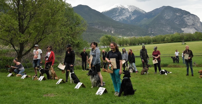 In verschiedenen Klassen (Größen) werden beim Doggy-Race Sieger gekürt. Der Stolz der Besitzer ist groß.