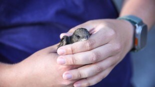 Feuerwehr und Tierhilfe retteten das arme Tier.