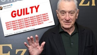 Promis wie Robert De Niro und Mark Hamill jubelten über das Trump-Urteil.