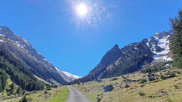 The entrance to the little-known Vergaldatal, which lies in the Silvretta and offers a variety of natural areas. (Bild: Rubina Bergauer)