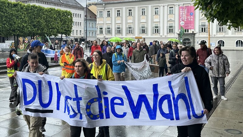 Fridays For Future is putting pressure on politicians. (Bild: Jennifer Kapellari)