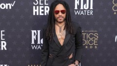 Lenny Kravitz lebt lieber keusch: Der Rocker hatte laut eigener Aussage seit neun Jahren keinen Sex mehr. (Bild: www.viennareport.at)