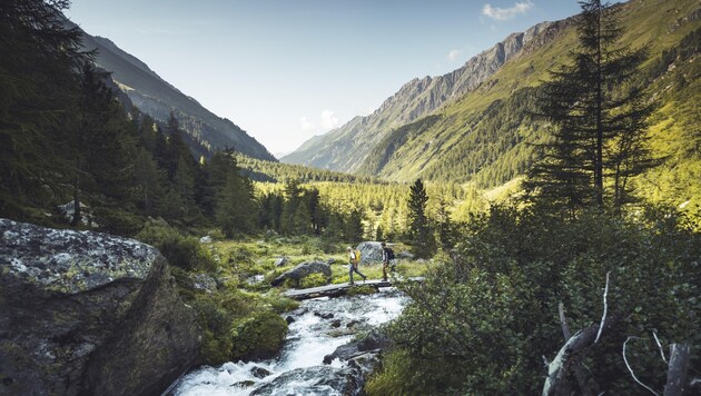 Many guided hikes with rangers are also taking place in the Kalser Dorfertal this year (Bild: NPHT/Leitner)