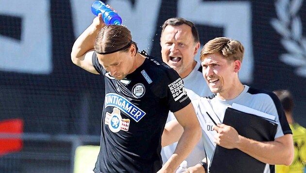 Der Kapitän bleibt an Bord: Stefan Hierländer verlängert bei Sturm! (Bild: GEPA/GEPA pictures)