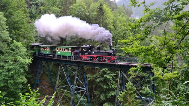 Landbauer wants to preserve the historic line with its unique trestlework bridges. (Bild: ÖGLB)